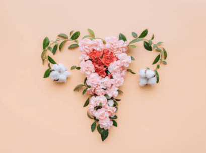 Autour de l'endométriose