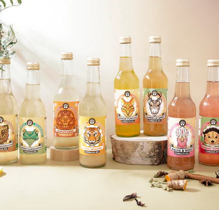 Kombucha bio du port du rhin à strasbourg