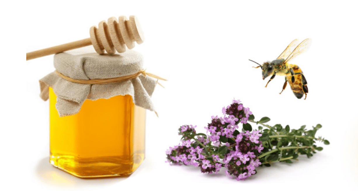Le miel de thym se distingue des autres miels par ses qualités exceptionnelles.